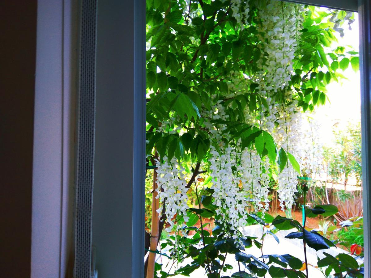 Aparthotel Viola Пьешчана-Увала Экстерьер фото